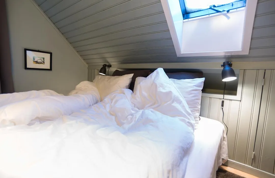 Reykjavik Treasure B&B-1
